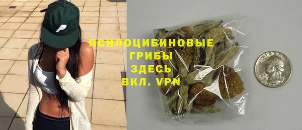 ALPHA PVP Гусев