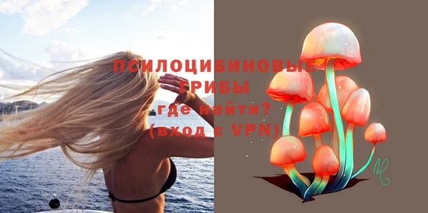 ALPHA PVP Гусев