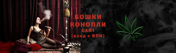 ALPHA PVP Гусев