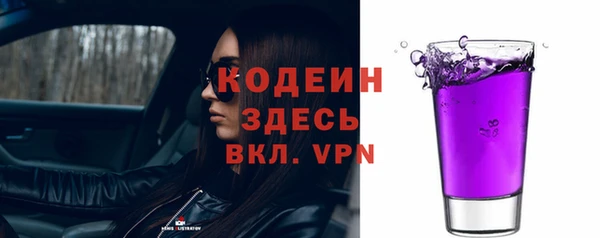 дживик Надым
