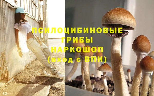 прущая мука Наволоки