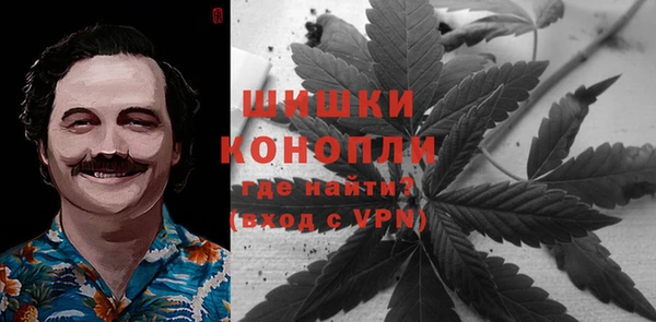 дживик Надым