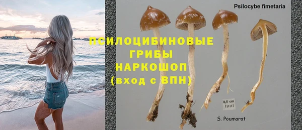 скорость mdpv Гусь-Хрустальный
